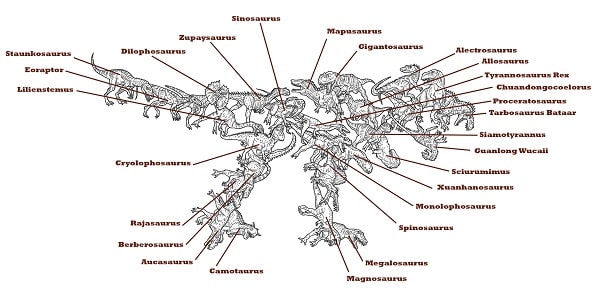 theropoda