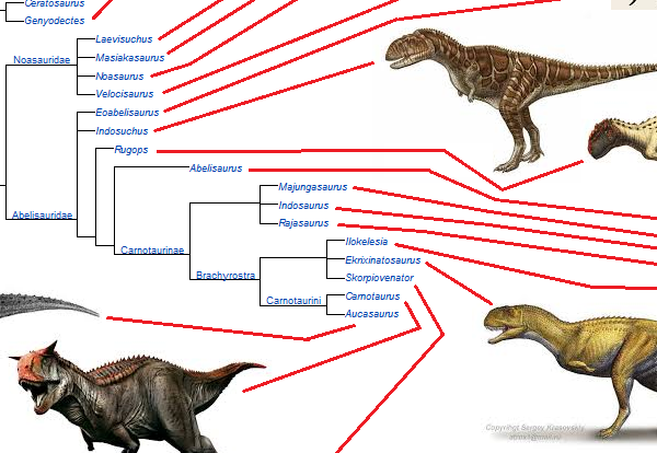 theropoda